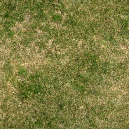 grass grass